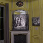Reportage photographique club photo lamoralaye de l'exposition "arbres remarquables" par Joss Blanchard Joss Blanchard 6"
