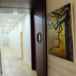 Reportage photographique club photo lamoralaye de l'exposition "arbres remarquables" par Joss Blanchard Joss Blanchard"