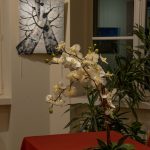 Reportage photographique club photo lamoralaye de l'exposition "arbres remarquables" par Joss Blanchard Joss Blanchard 3"