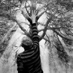 Reportage photographique club photo lamoralaye de l'exposition "arbres remarquables" par Joss Blanchard Joss Blanchard 2"