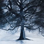 Reportage photographique club photo lamoralaye de l'exposition "arbres remarquables" par Joss Blanchard Joss Blanchard 56"