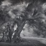 Reportage photographique club photo lamoralaye de l'exposition "arbres remarquables" par Joss Blanchard Joss Blanchard 58"