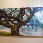 Reportage photographique de l'exposition "arbres remarquables" par Joss Blanchard"