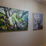 Reportage photographique club photo lamoralaye de l'exposition "arbres remarquables" par Joss Blanchard Joss Blanchard 2"