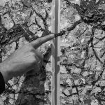 Reportage photographique club photo lamoralaye de l'exposition "arbres remarquables" par Joss Blanchard Joss Blanchard 3"