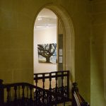 Reportage photographique club photo lamoralaye de l'exposition "arbres remarquables" par Joss Blanchard Joss Blanchard B"