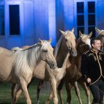 Spectacle équestre nocturne avec chevaux et lumières à la Fête du Cheval 2024 à Lamorlaye.""