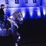 Sauts de chevaux sous effets de lumière à la Fête du Cheval 2024 à Lamorlaye.""