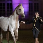 Sauts de chevaux sous effets de lumière à la Fête du Cheval 2024 à Lamorlaye.""