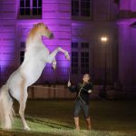 Fête du cheval  2024 à la Ville de Lamorlaye | Club de photographie de Lamorlaye "