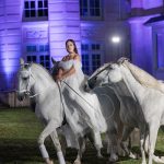 Fête du cheval  2024 à la Ville de Lamorlaye | Club de photographie de Lamorlaye "