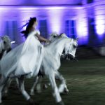 "Des pas gracieux et des sauts spectaculaires lors de la Fête du Cheval 2024 à Lamorlaye, célébrant la beauté des chevaux.""