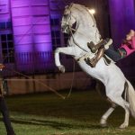 Fête du cheval  2024 à la Ville de Lamorlaye | Club de photographie de Lamorlaye "