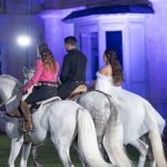 "Un moment festif à Lamorlaye, où les chevaux et les cavaliers brillent sous les projecteurs lors de la Fête du Cheval.""
