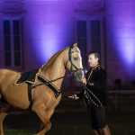 Chevaux et lumières fusionnent à la Fête du Cheval 2024 à Lamorlaye."