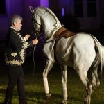 Pas coordonnés des chevaux à la Fête du Cheval 2024 à Lamorlaye"