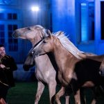 "Un événement équestre mémorable à Lamorlaye, la Fête du Cheval met en lumière le talent des cavaliers et la beauté des montures.""
